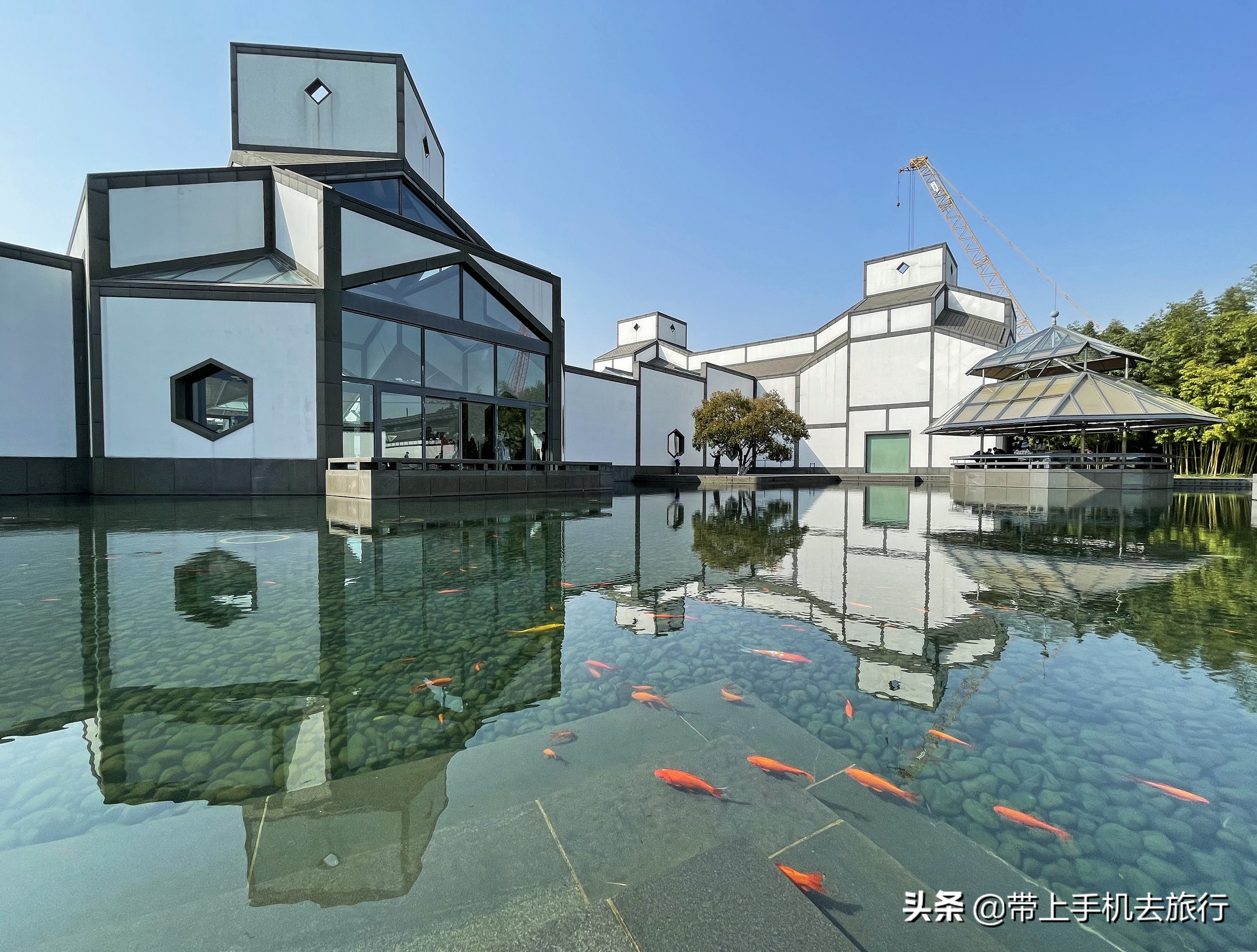 手机摄影怎么样用专业模式,手机摄影是怎么搞的