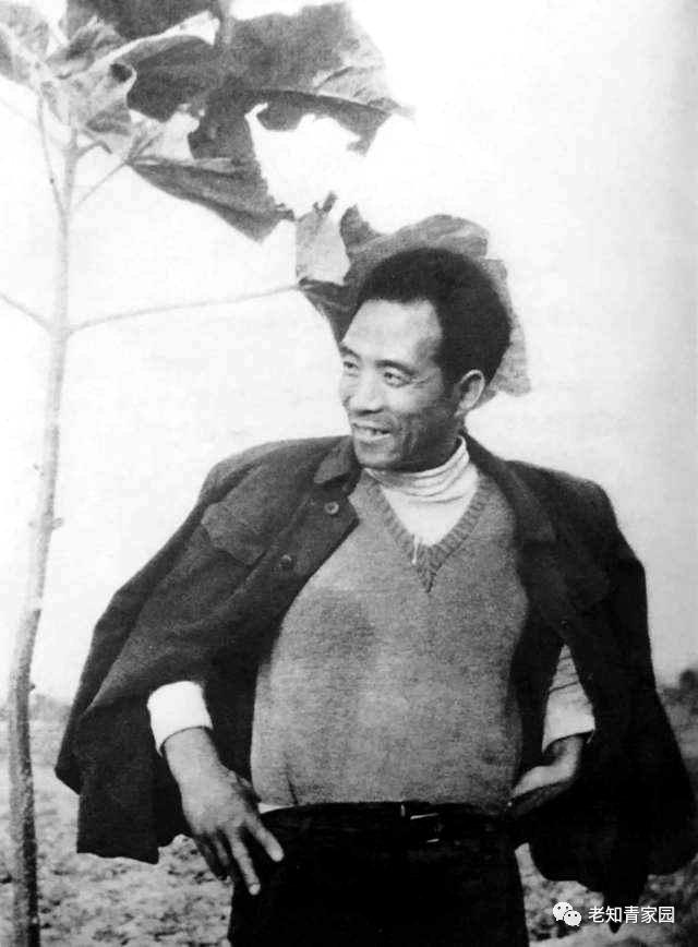 60年代中国人的生活视频,60年代生活记录完整版