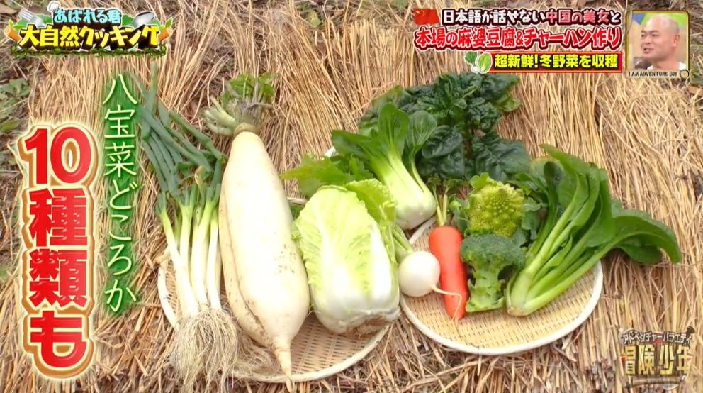 日本男星被迫和中国美女一起“荒野求生”？网友都笑疯了哈哈哈…