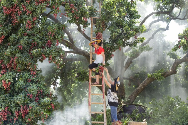 2021年哪天入伏三伏一共多少天,2023年三伏天哪伏最热