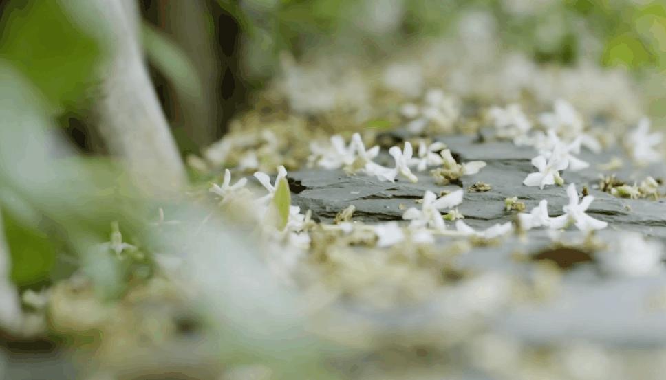 连她都敢请，这档综艺怎么想的