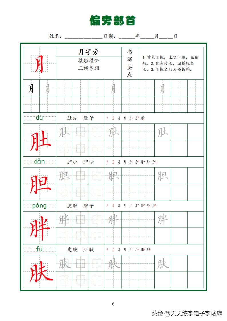 偏旁部首硬笔书法字帖电子版,基本笔画和偏旁部首标准字帖