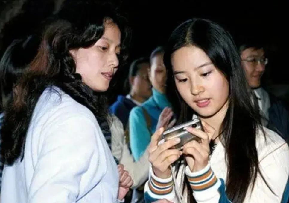 刘亦菲争议事件,刘亦菲被嘲