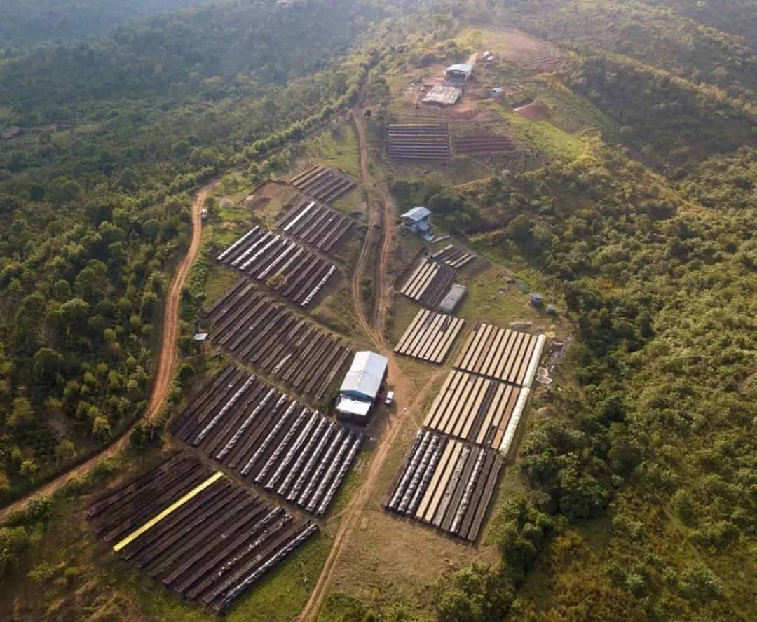 你喝的酒是真的吗,你喝的果酒是假的吗