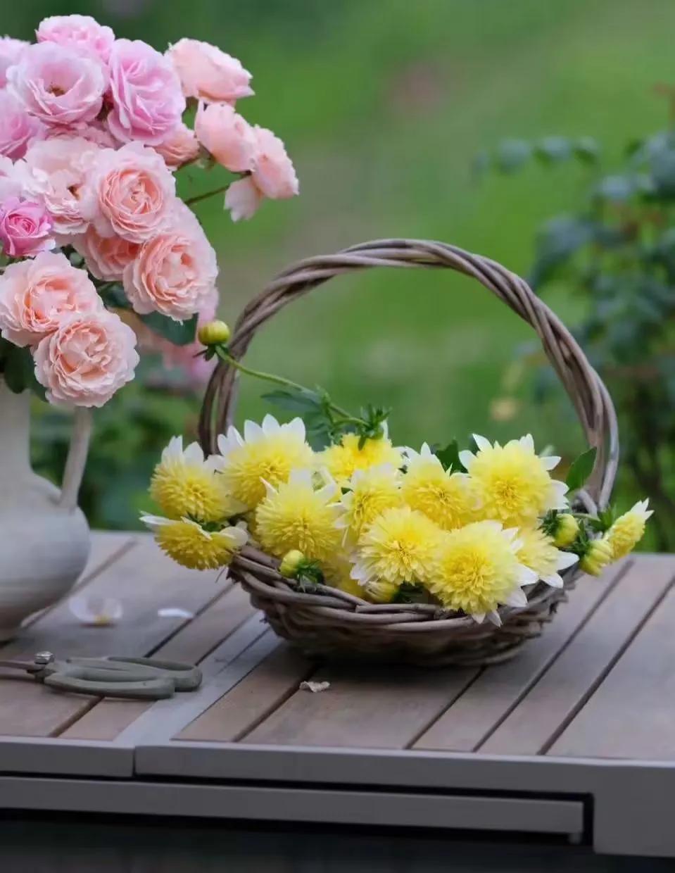 故事不长不难讲脸红相遇眼红收场,脸红相遇眼红散场故事不长也不难