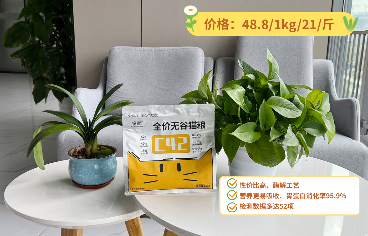 中华田园猫白猫好养吗,养猫新手适合养哪个可爱品种的猫