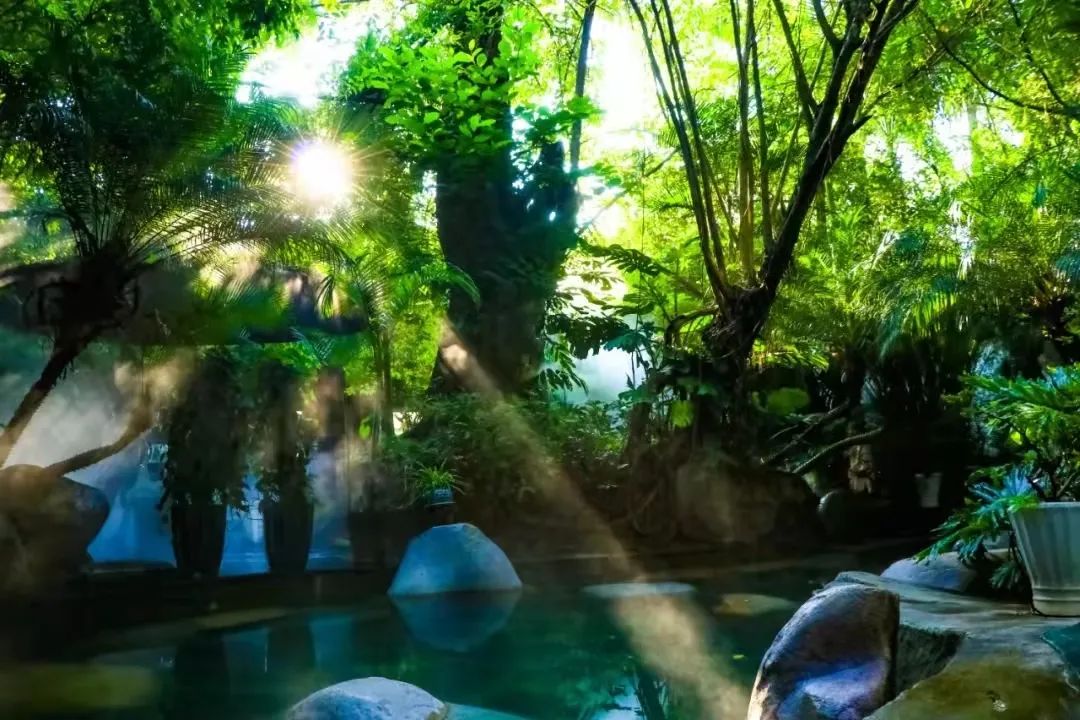 腾冲人游腾冲丨开年第一“泡”去哪儿？这份攻略告诉你