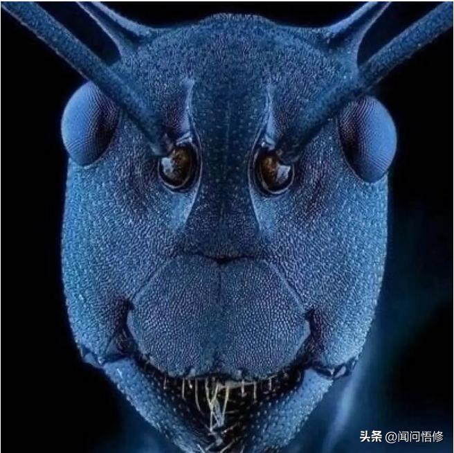 如何用逻辑思维做题,如何用逻辑思维方法推理解决问题