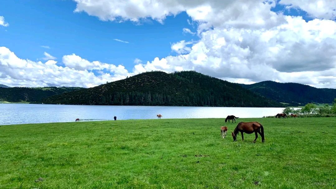 云南全部5a级旅游景点有哪些,云南拟新增10个国家4a级旅游景区