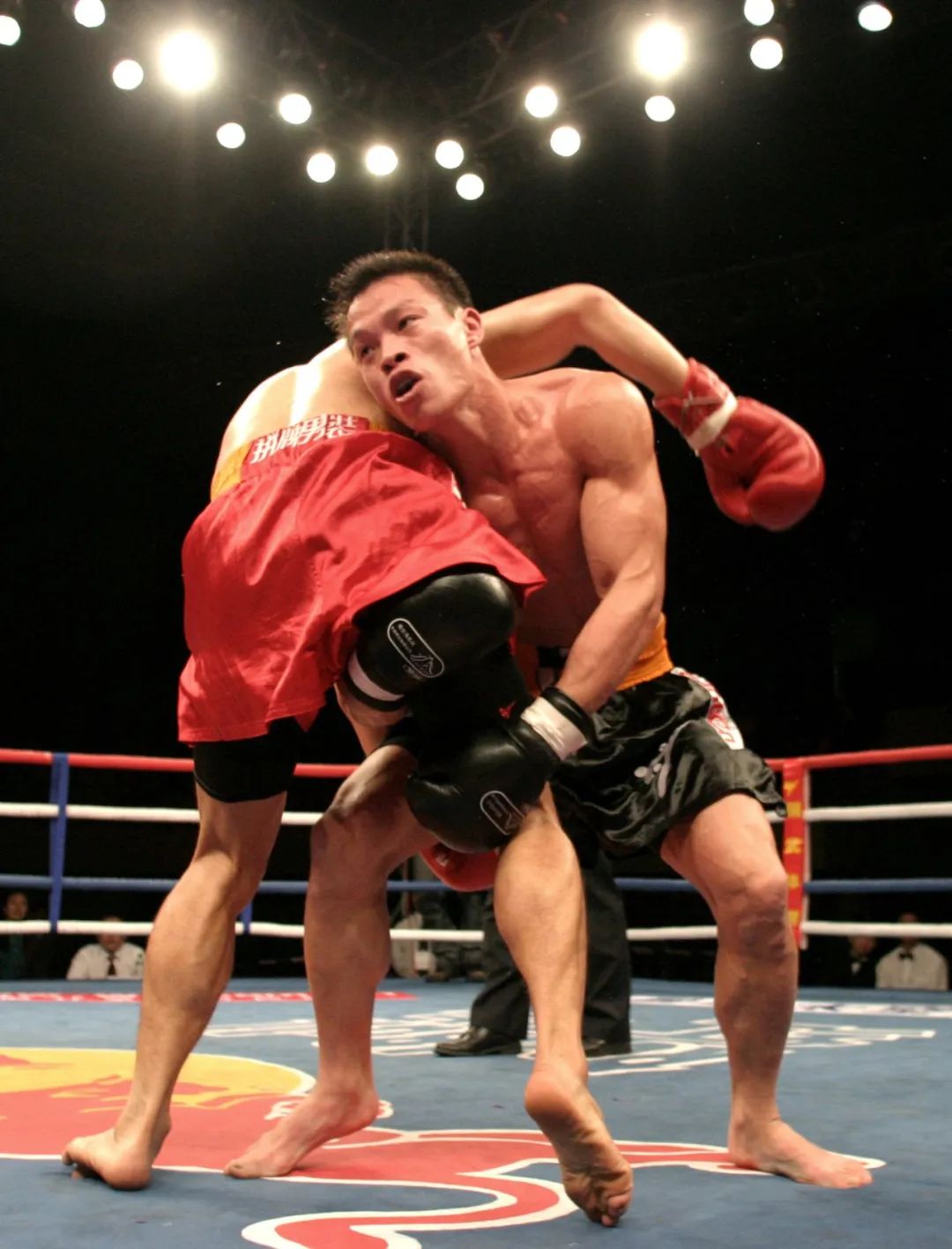 观点是概念吗,观点是指什么