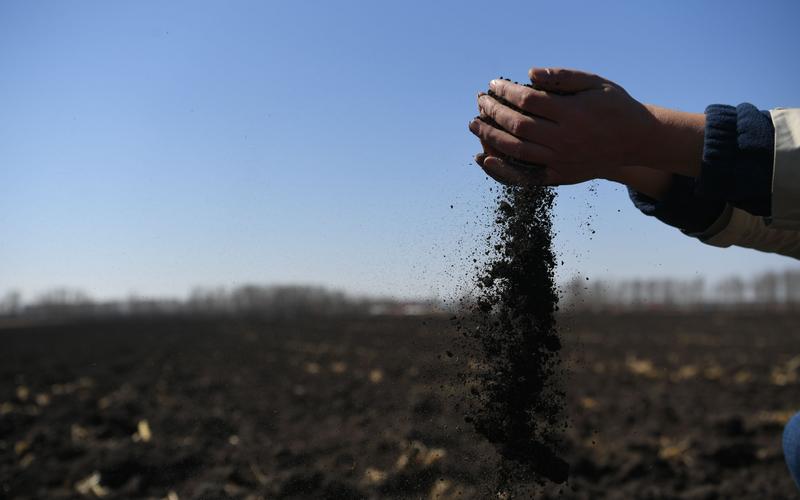 谁在砸中国人饭碗？200万年形成的“土中熊猫”，被4元贱卖给美日