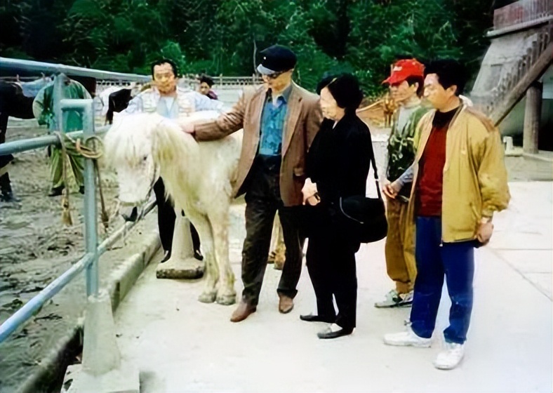 白龙马惨死马棚完整版,白龙马剧组解散后杨洁为何落泪