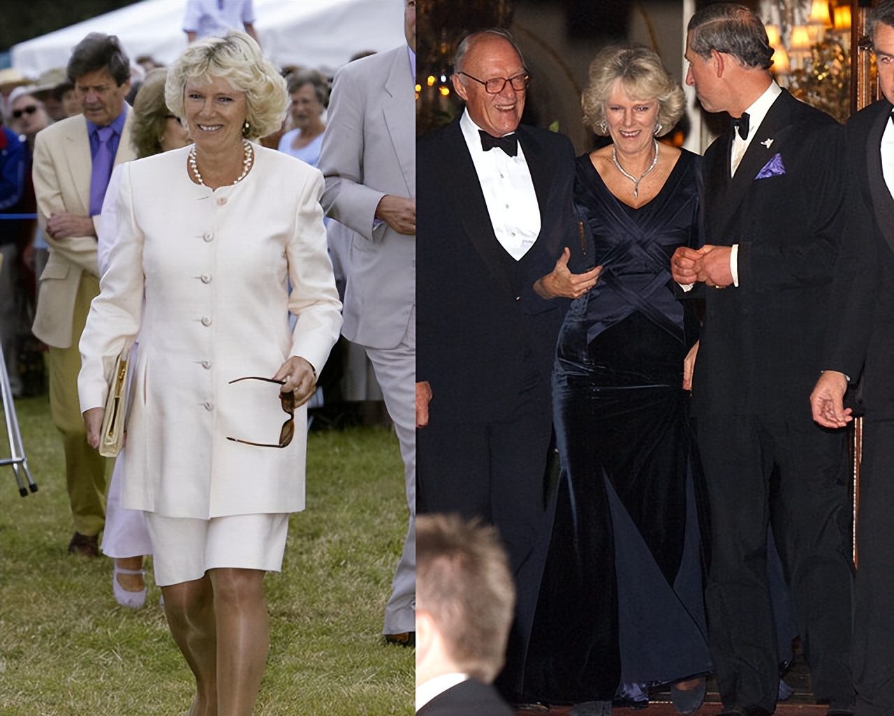 卡米拉终于当上了王后,卡米拉变好的视频