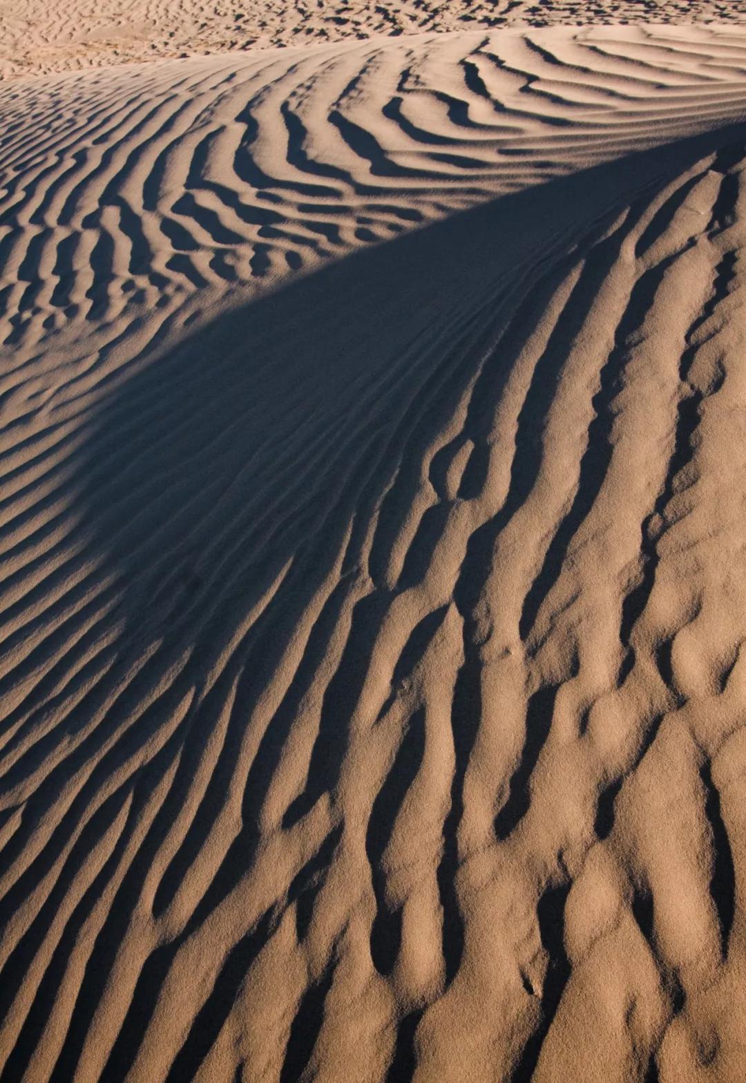 如何让自己的照片更具表现力,好照片的五个必背要素