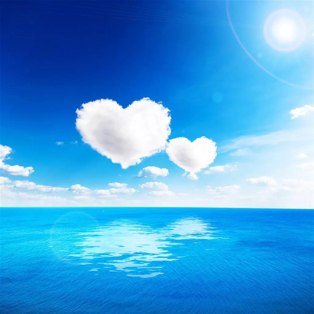 唯美心形素材视频,唯美心形的图片