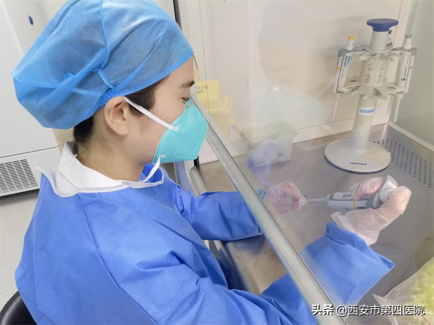 健康中国全民抗疫,秦岭四宝抗疫