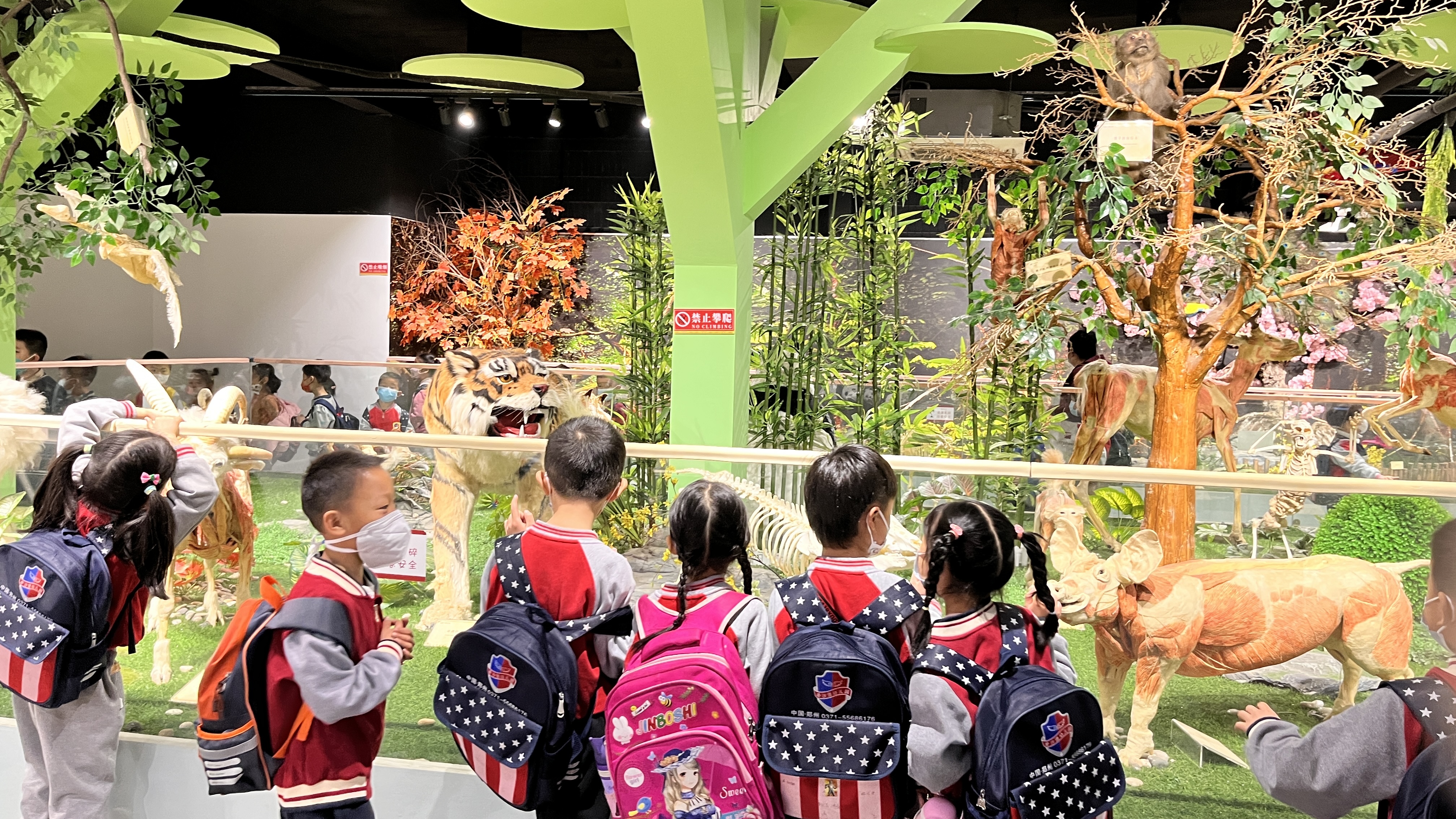 郑州赏花游玩推荐景点,郑州踏青旅游攻略