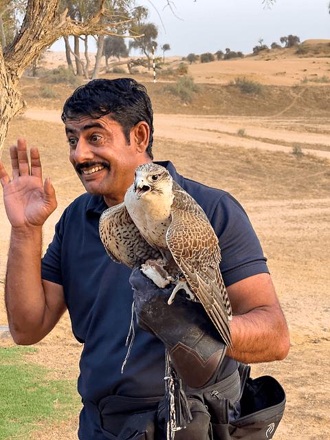 阿联酋丽思卡尔顿,阿联酋野奢帐篷
