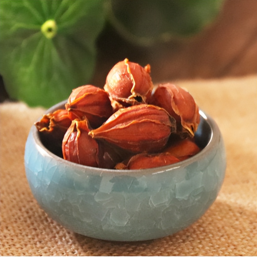 【马博士女性“养生馆”】药食同源——栀子花开