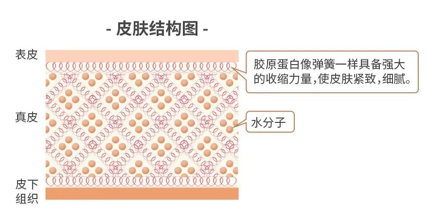 欧莱雅复颜抗皱水乳套装短视频,欧莱雅抗皱紧致水乳套装女