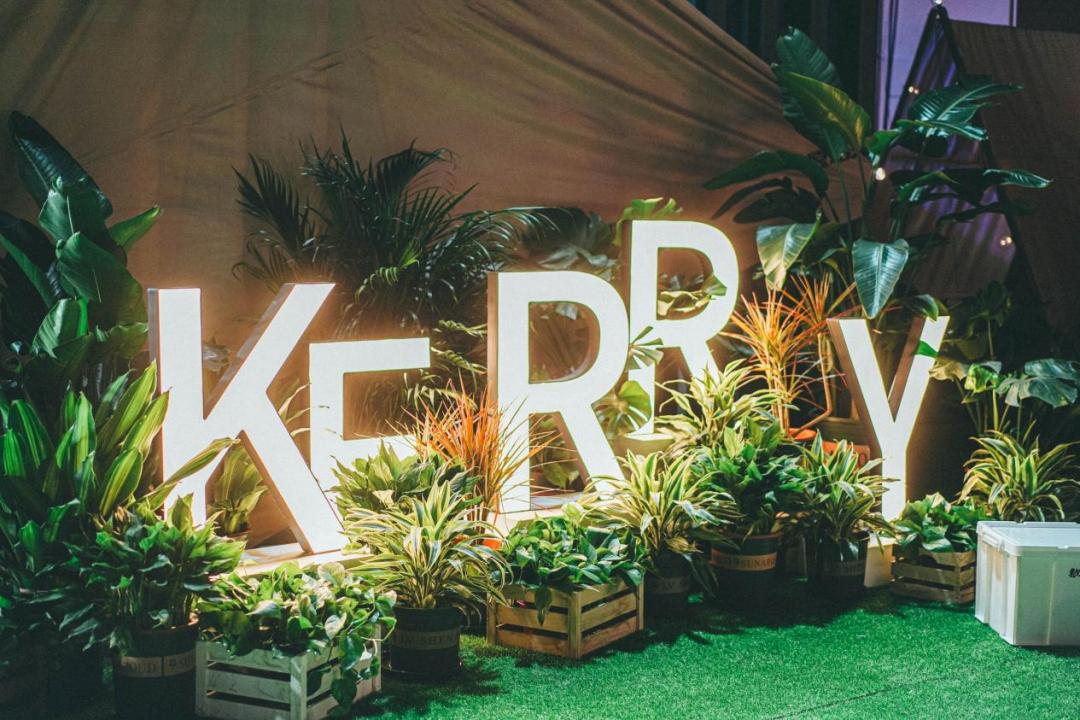 2022歇马夜市如约开市，唤起沈城新活力