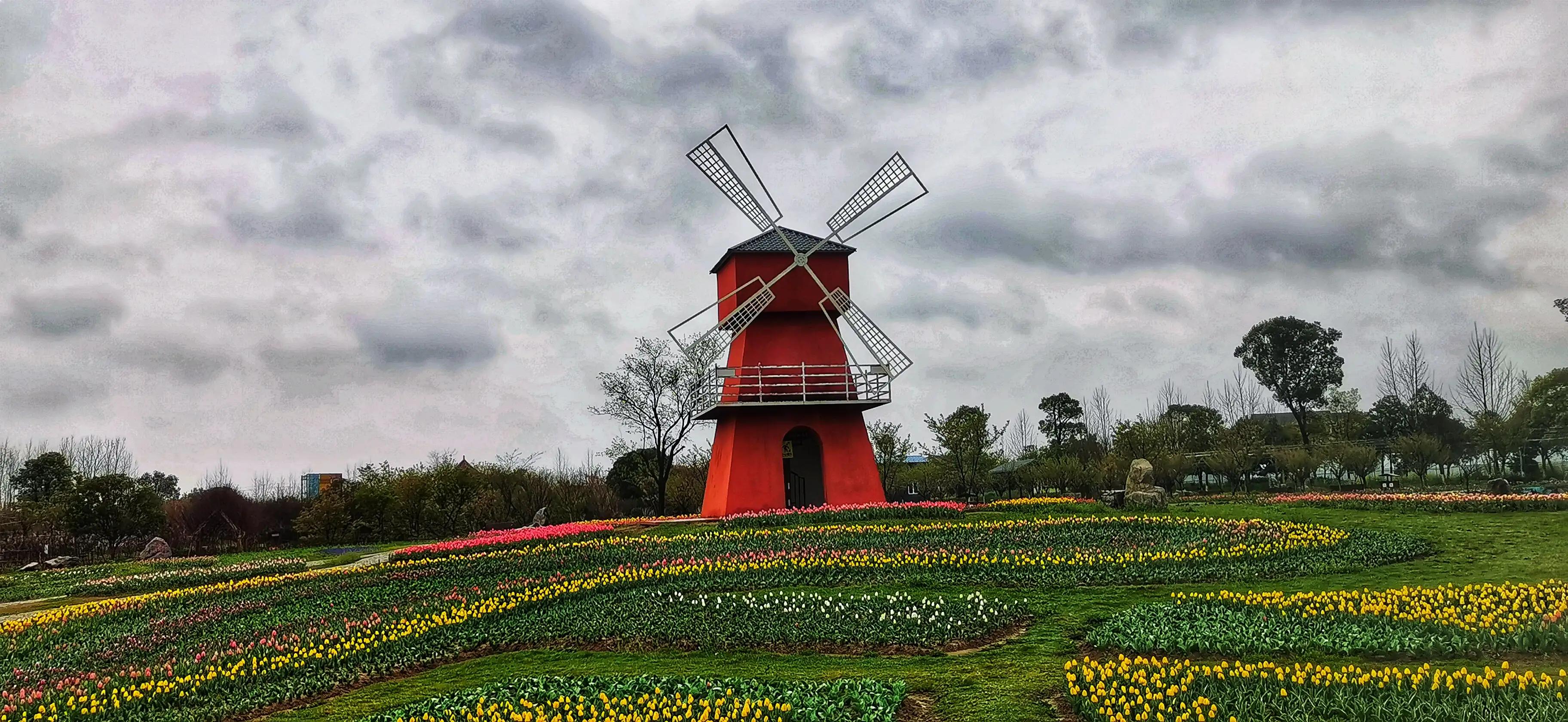 湖北宜昌花海赏花,枝江同心花海四月有什么花