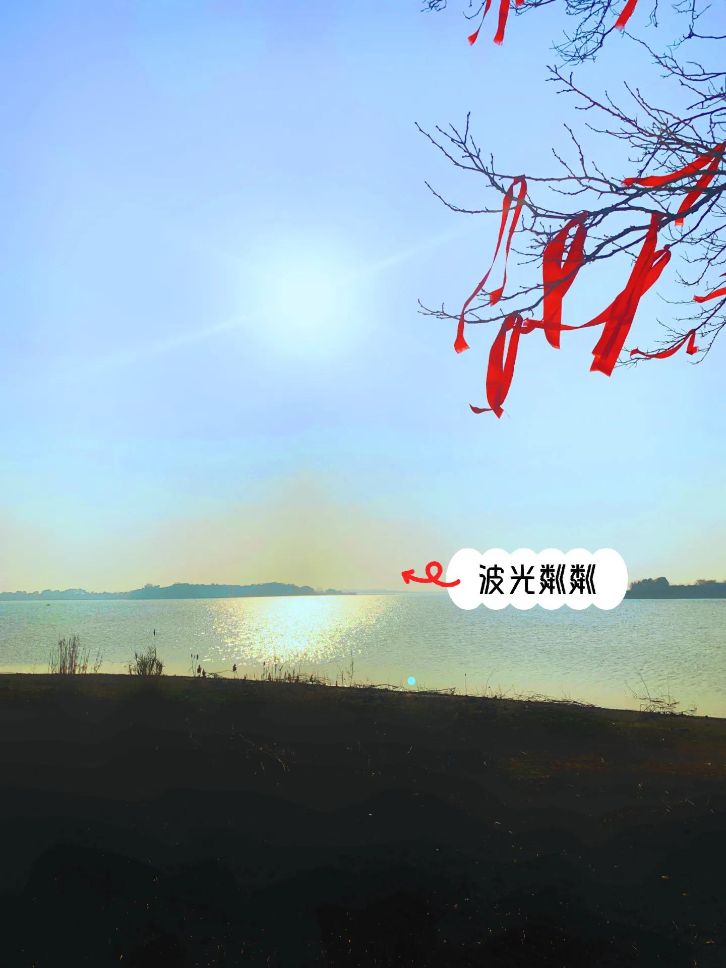 定位江夏我愿称之为武汉日落营地的天花板