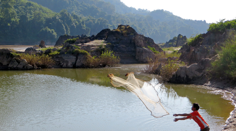 农村养殖业最赚钱的行业,农村靠信息差赚钱的行业