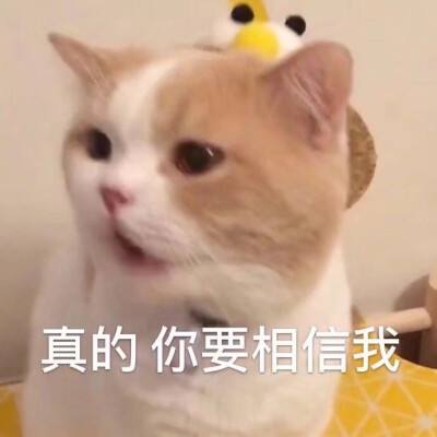 减脂晚餐吃什么更有饱腹感,减脂餐食谱一日三餐饱腹感