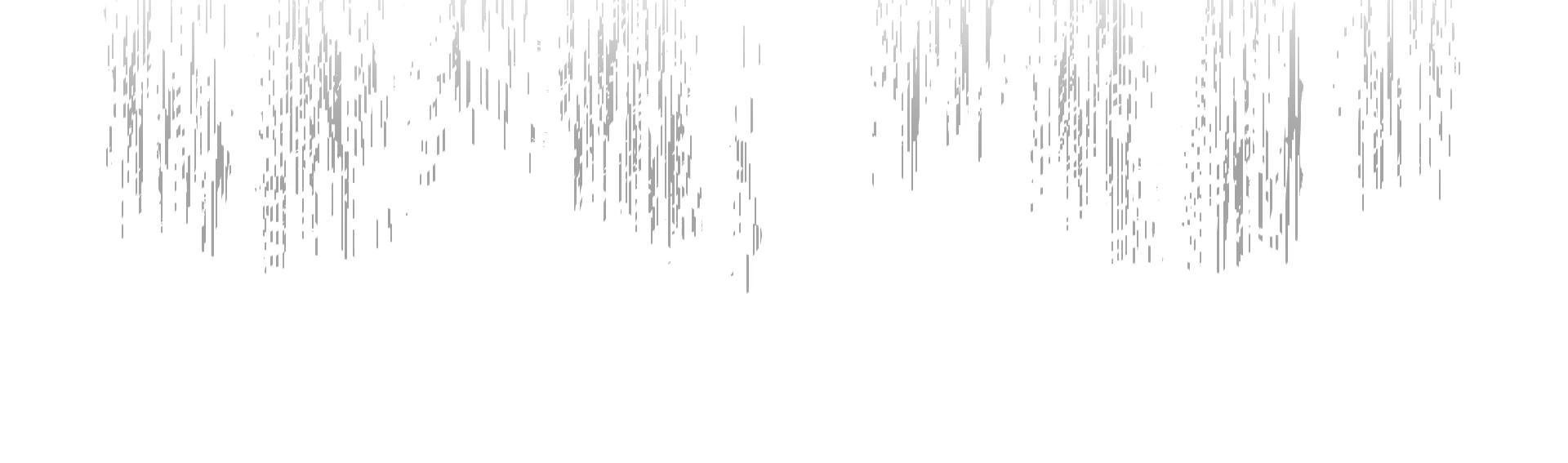 传统扇子的工艺特点和美学表现,中国古代扇子艺术