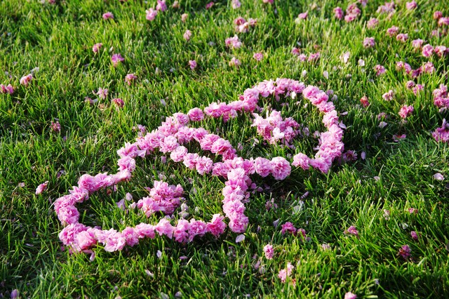 行测易混易错成语辨析,成语辨析的基本知识