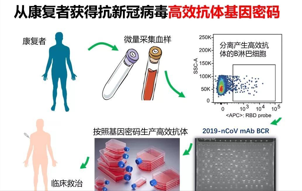 印度新冠药出来了吗,关于印度新冠特效药的真假