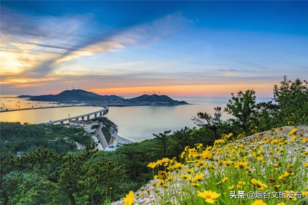 长岛一日免费游,520景点免费