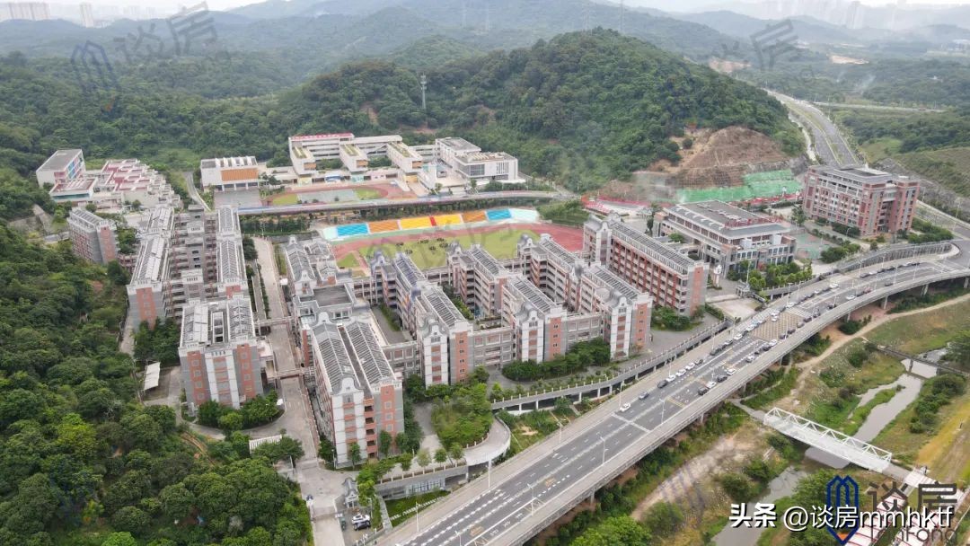 长岭雅居零网签原因,长岭雅居开盘时间