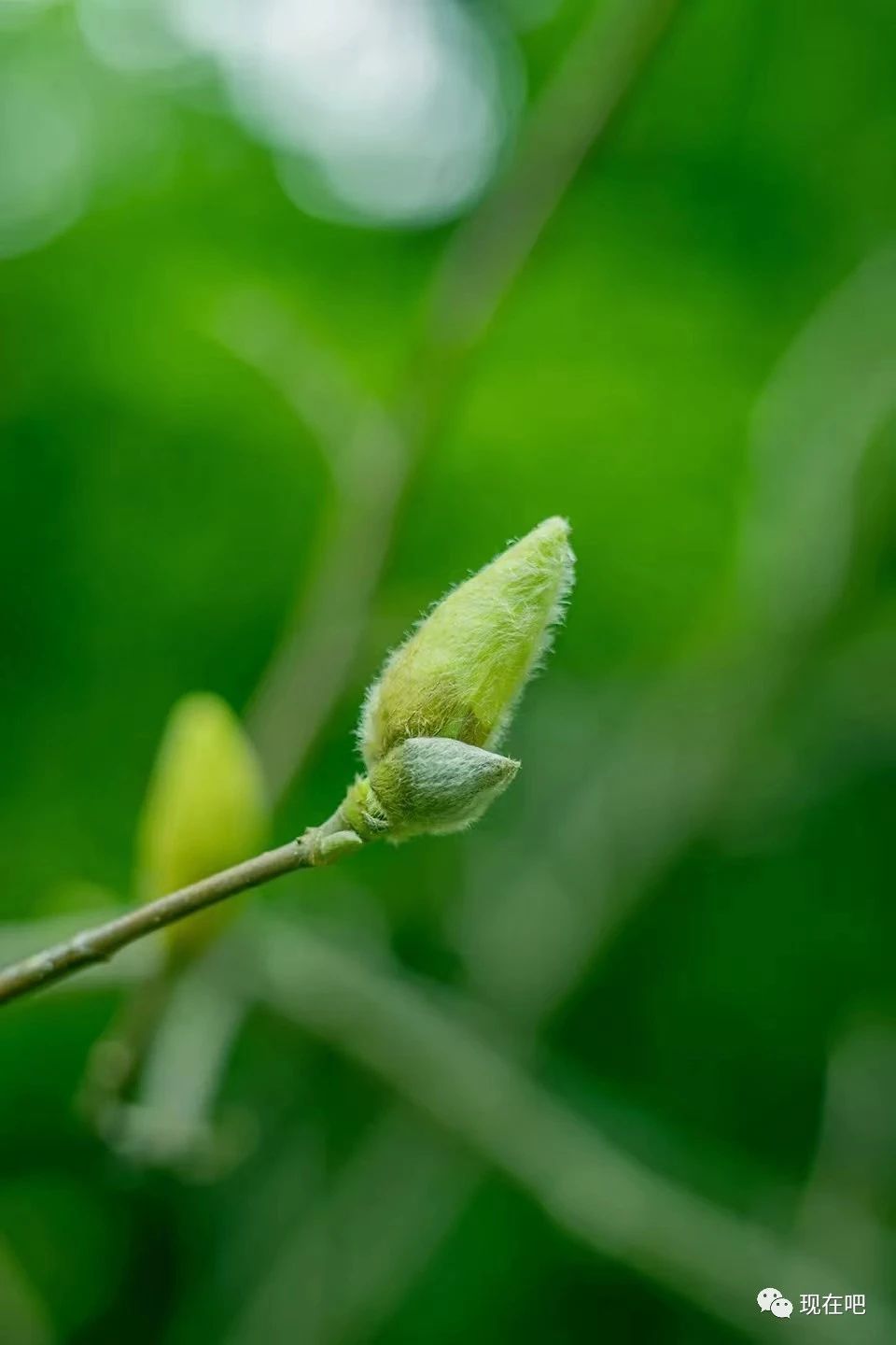 赏析古诗天末怀李白,每天一首古诗词秋夕旅怀唐代李白