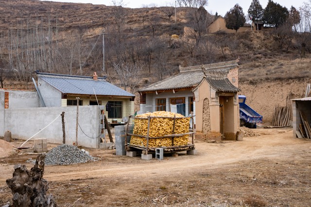 种植养殖创业做什么好,90后创业养殖什么合适