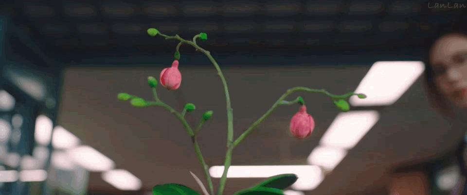 顶级配置拍女版《寄生虫》？欲望冲出屏幕，人性丑恶獠牙藏不住了