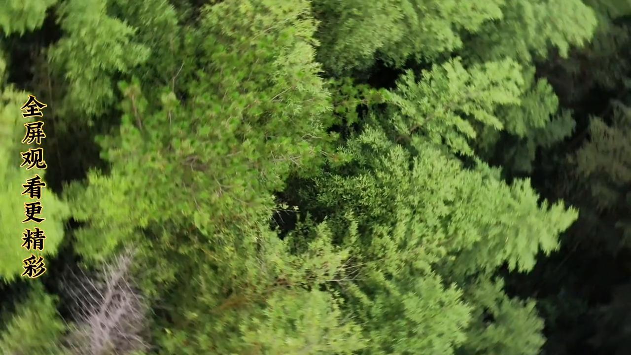 无人机不会操作会不会飞丢,无人机起飞后会偏移怎么办