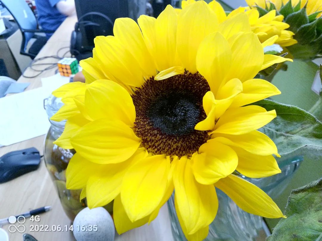 不到2000元买四部手机,不到2000块的旗舰机