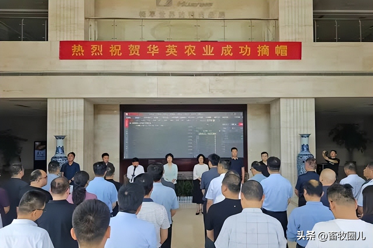 st华英今年能否摘帽,华英摘帽的可能性大吗