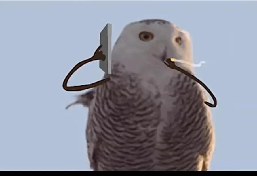 巴西队大部分来自贫民窟,巴西球员背后的辛酸故事