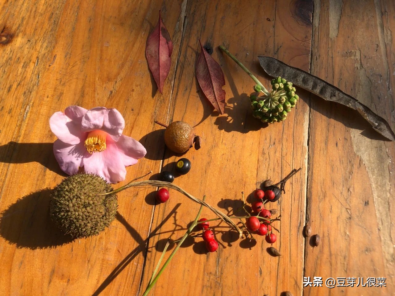 身高多少买火车票是半票,身高超过多少需要买火车票