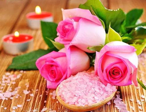 白玫瑰和红玫瑰的区别,红玫瑰与白玫瑰黄玫瑰