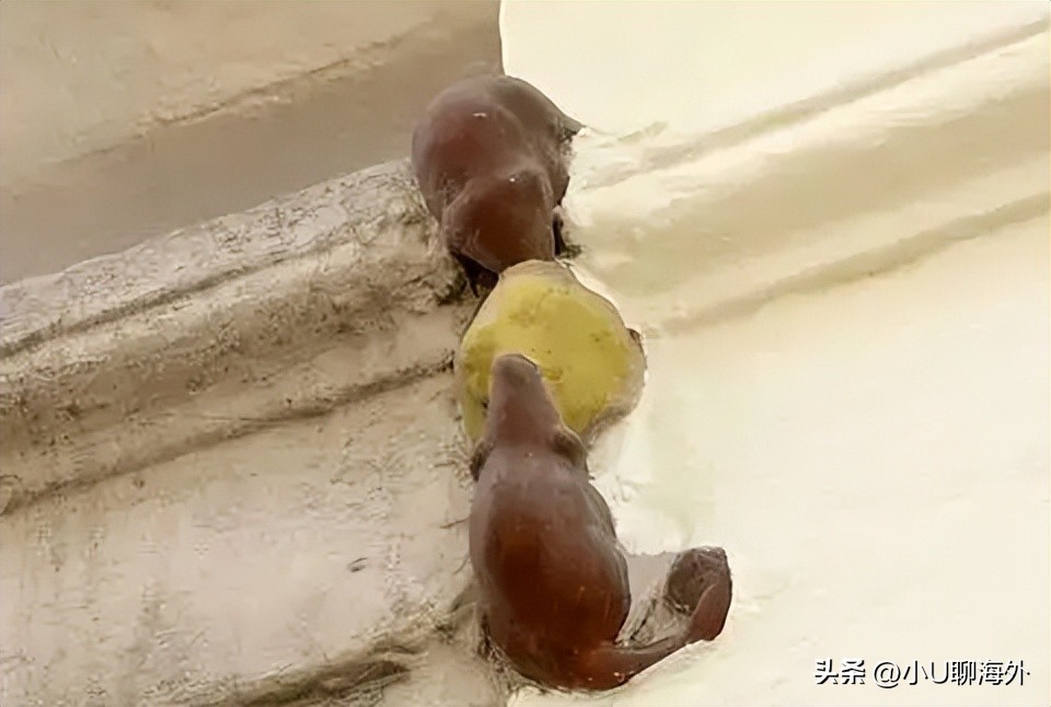 趣闻分享：了解伦敦|细数伦敦的15个冷知识