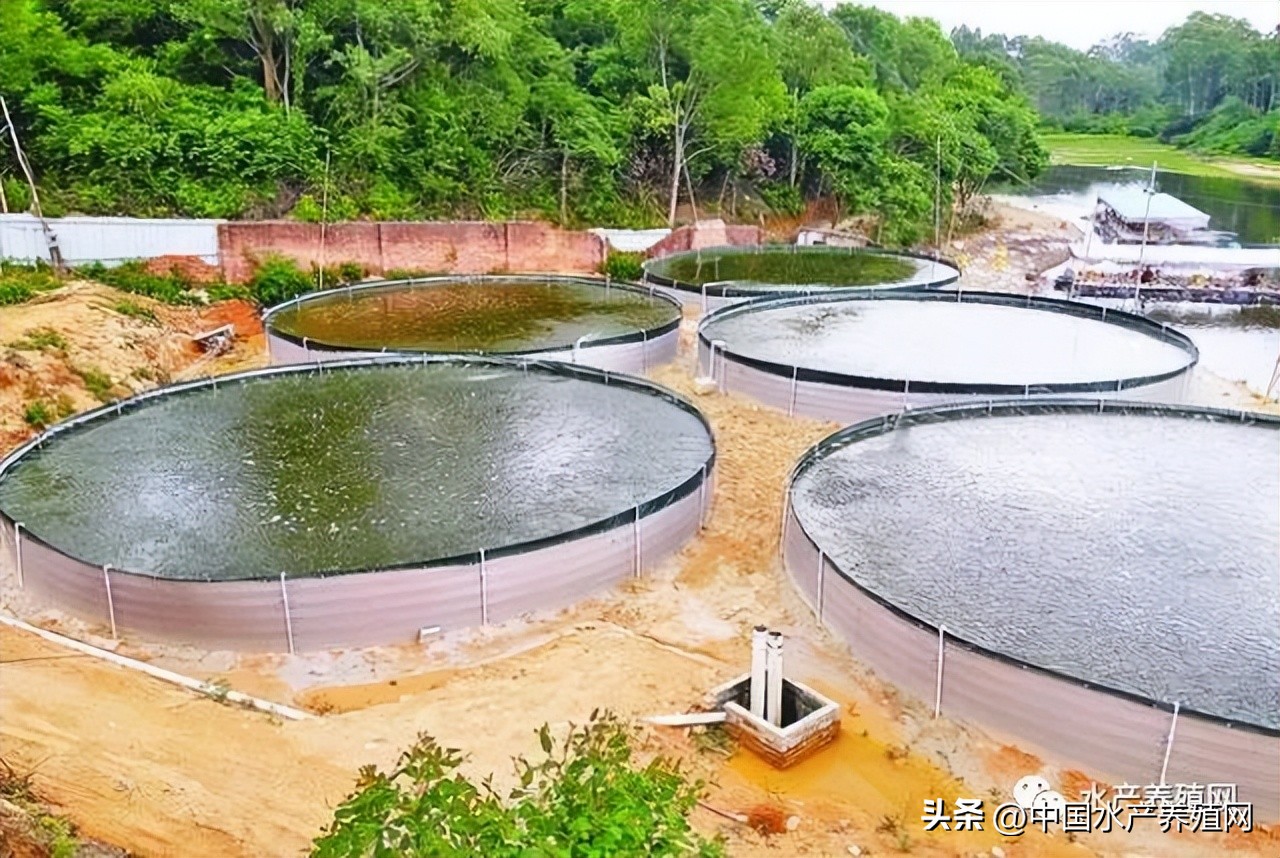 养殖遇困境六种模式帮您找出路,最坑人的50个养殖常识