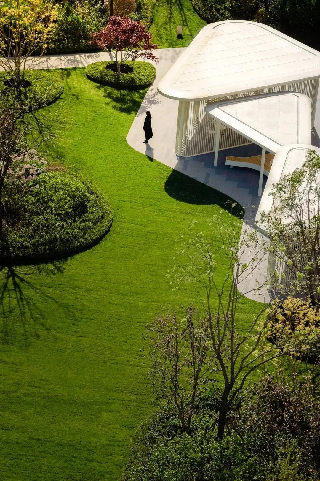 11月乔木灌木草坪病虫害用药,草坪病虫害怎么防治