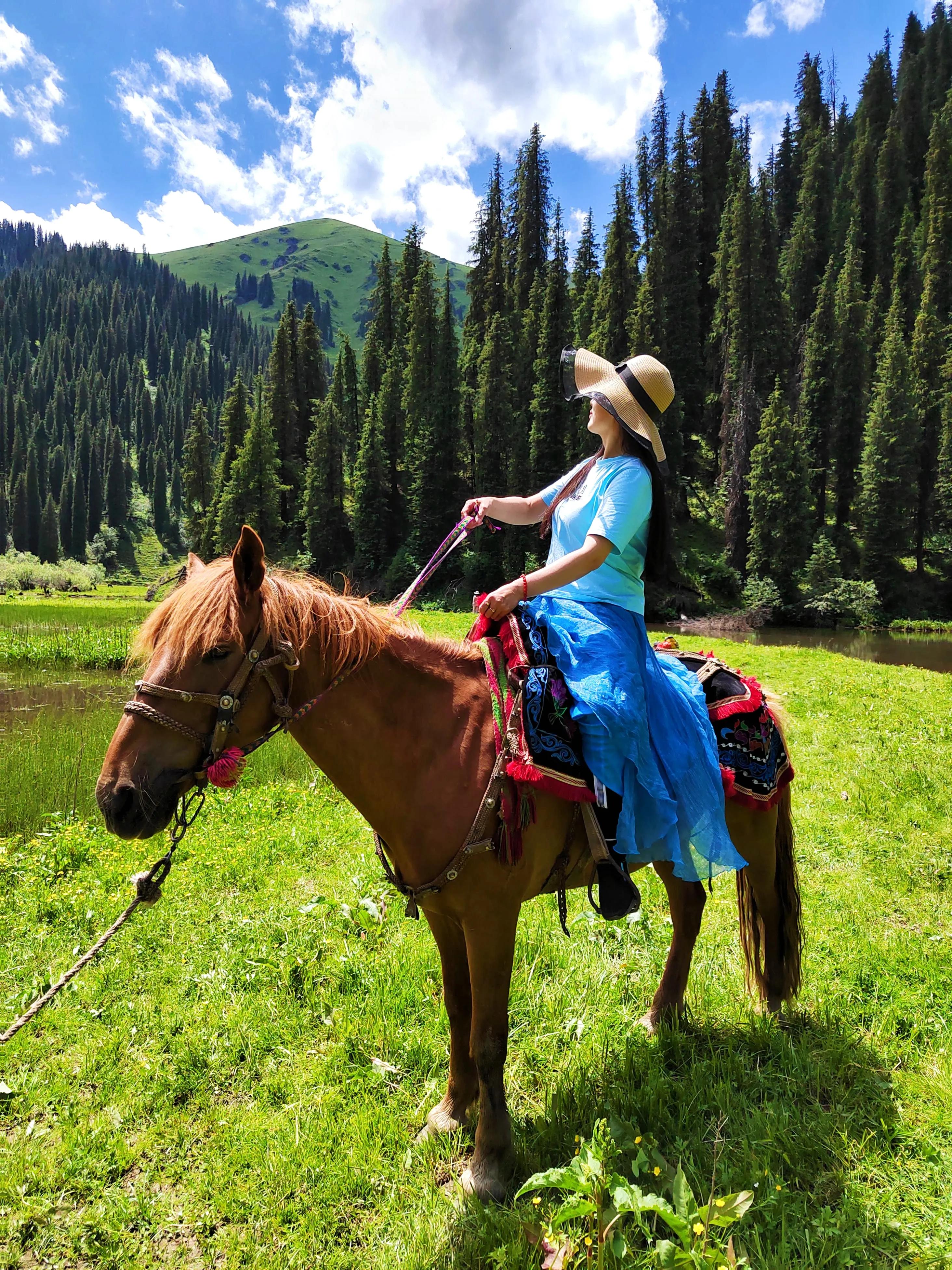 穿越森林探险视频,穿越森林探险之旅