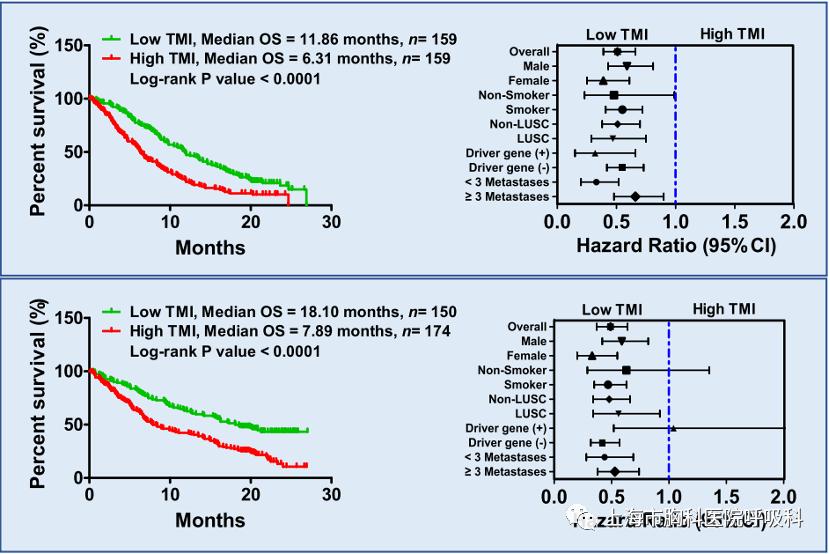 基于非小细胞肺癌患者ctDNA测序的肿瘤突变指数用于预测免疫治疗或化学治疗预后