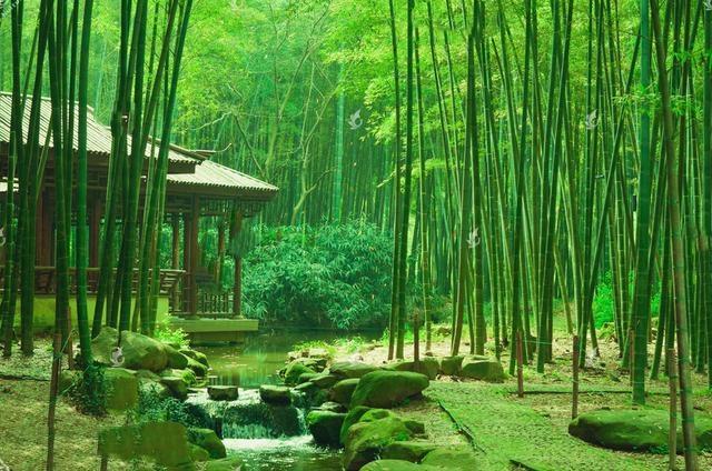 王维十首名诗鸟鸣涧,王维十首最好诗