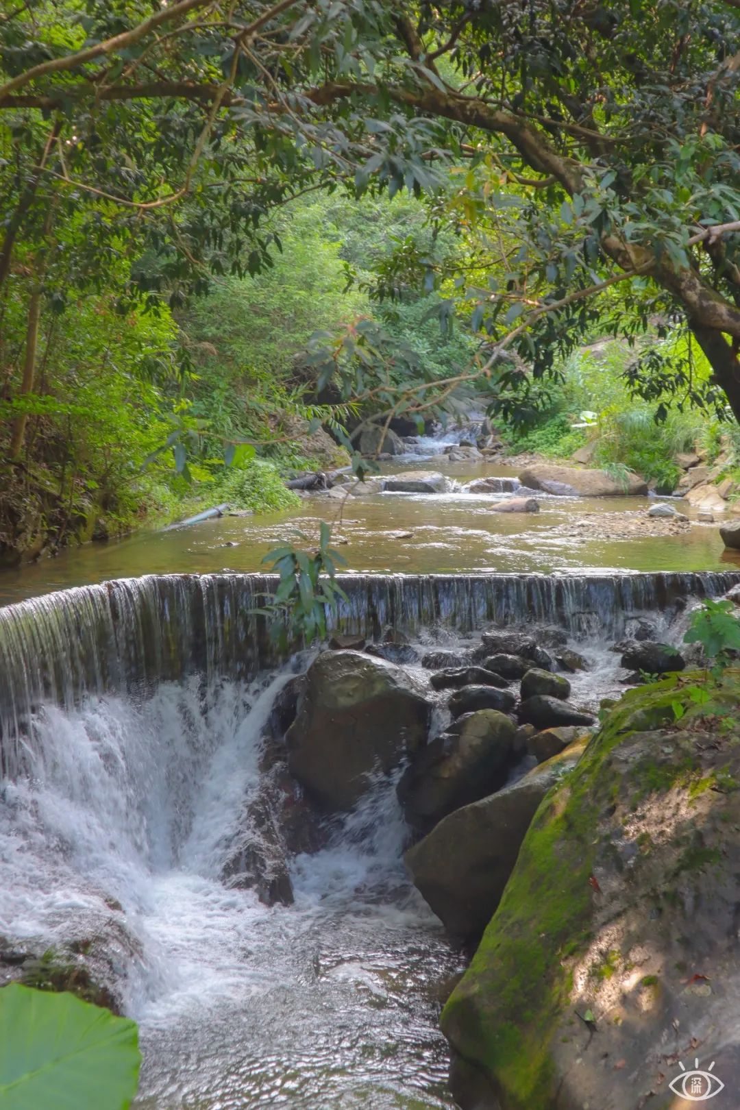 深圳罕见的避暑胜地,广东深圳避暑好去处